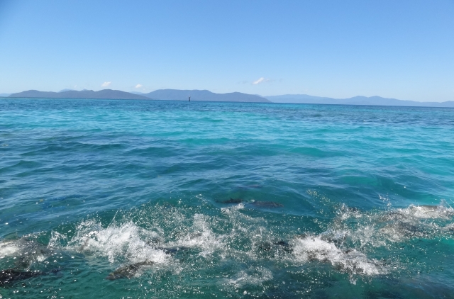 海洋恐怖症とは？原因、治療方法、克服方法について - メンタルヘルス事典オンライン